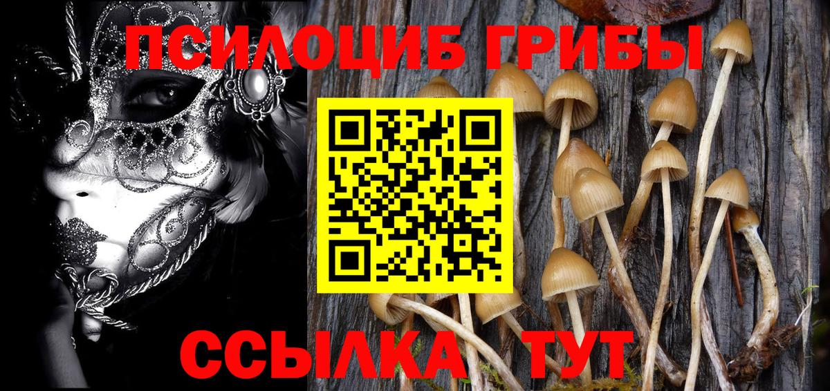 Бор  Галлюциногенные грибы GOLDEN TEACHER  Вход с VPN 